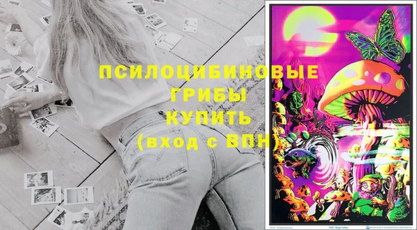 ГАЛЛЮЦИНОГЕННЫЕ ГРИБЫ Алексин