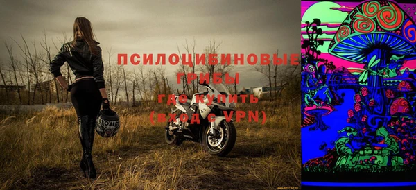 ГАЛЛЮЦИНОГЕННЫЕ ГРИБЫ Алексин