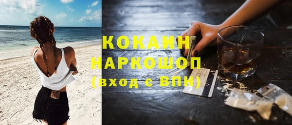 МДПВ Алзамай