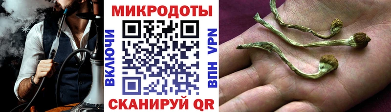 Псилоцибиновые грибы Cubensis Артём